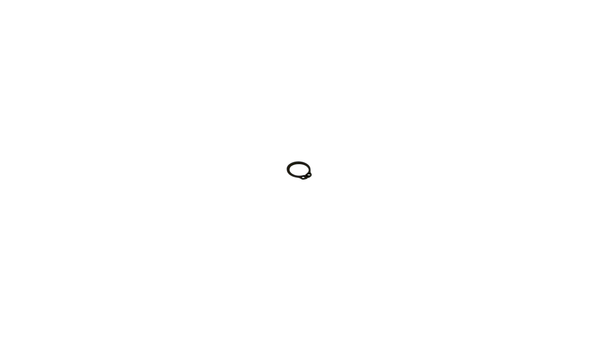 [BIP-UF6300]-RING, SHAFT RETAINING, 12mm  (IP) 6300