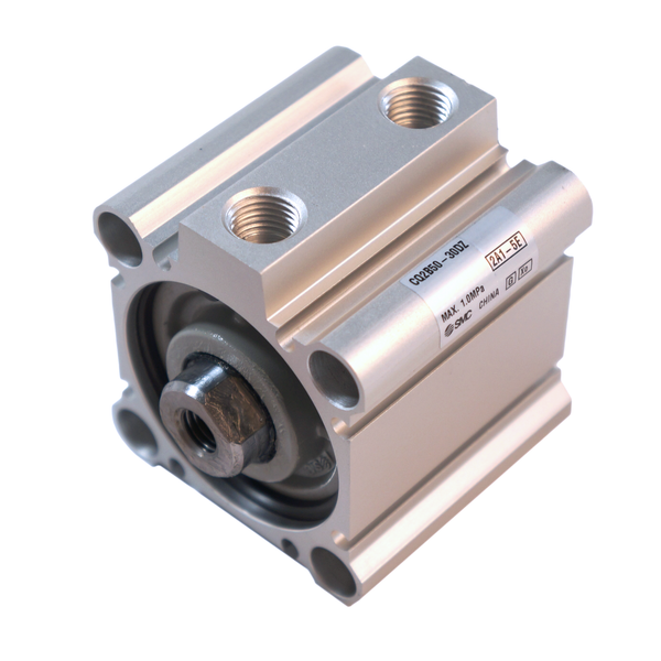 2920019